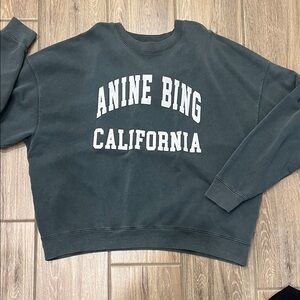 Womens Anine Bing sweatshirt